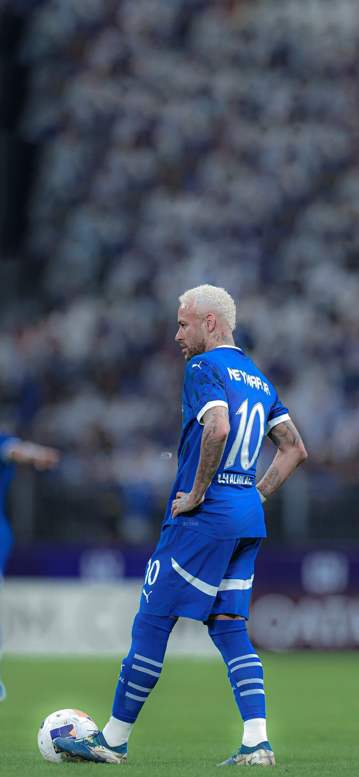 仅体现了海 仅体现了海