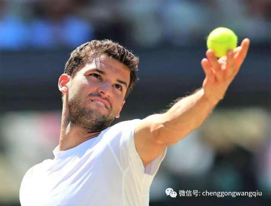 他不仅能够 他不仅能够